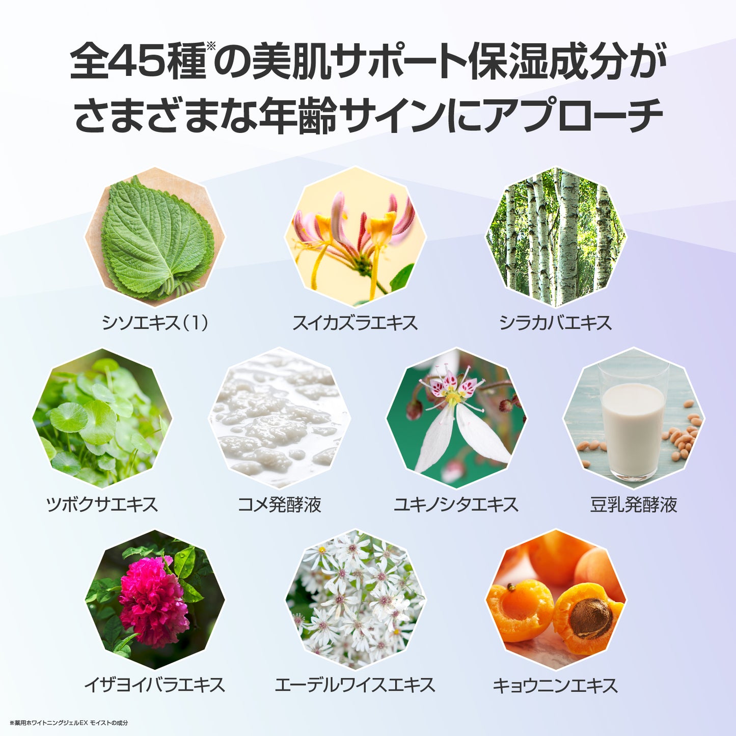 きれい継続コース(スタートセット)