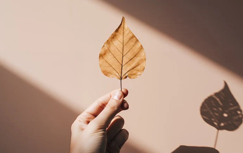 秋の乾燥に負けないために。夏枯れ肌をケアする“仕込み保湿”とは？