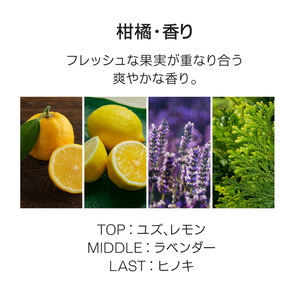 きれい継続コース（ジェル単品/ノーマル/スリム容器）